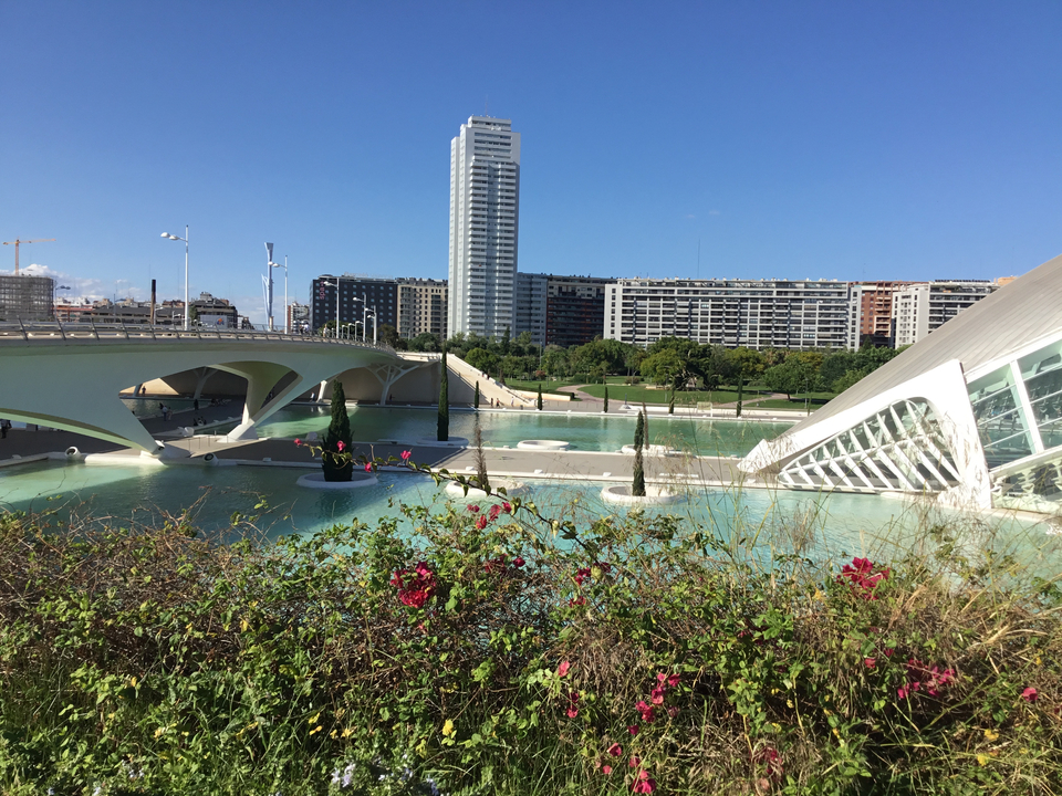 Bâtiments modernes avec un pont au-dessus d'un plan d'eau, avec des fleurs au premier plan.