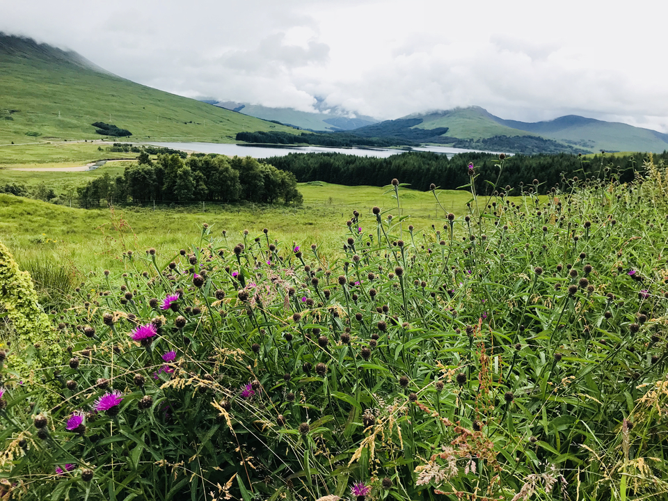 Magnifique paysage avec un lac et une végétation verdoyante.