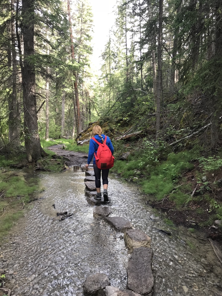 Personne se promenant dans une forêt avec des pierres dans le ruisseau.