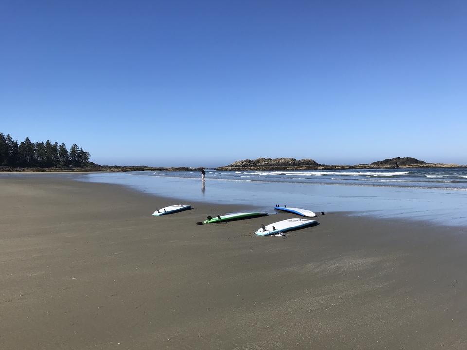 Planches de surf sur une plage de sable avec des rochers et la mer au loin.