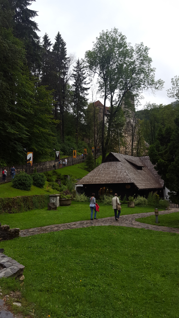 Des personnes se promènent dans un parc verdoyant avec un arrière-plan rocheux.
