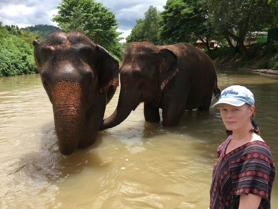 Deux éléphants s'amusant à boire de l'eau sous le regard d'une femme.