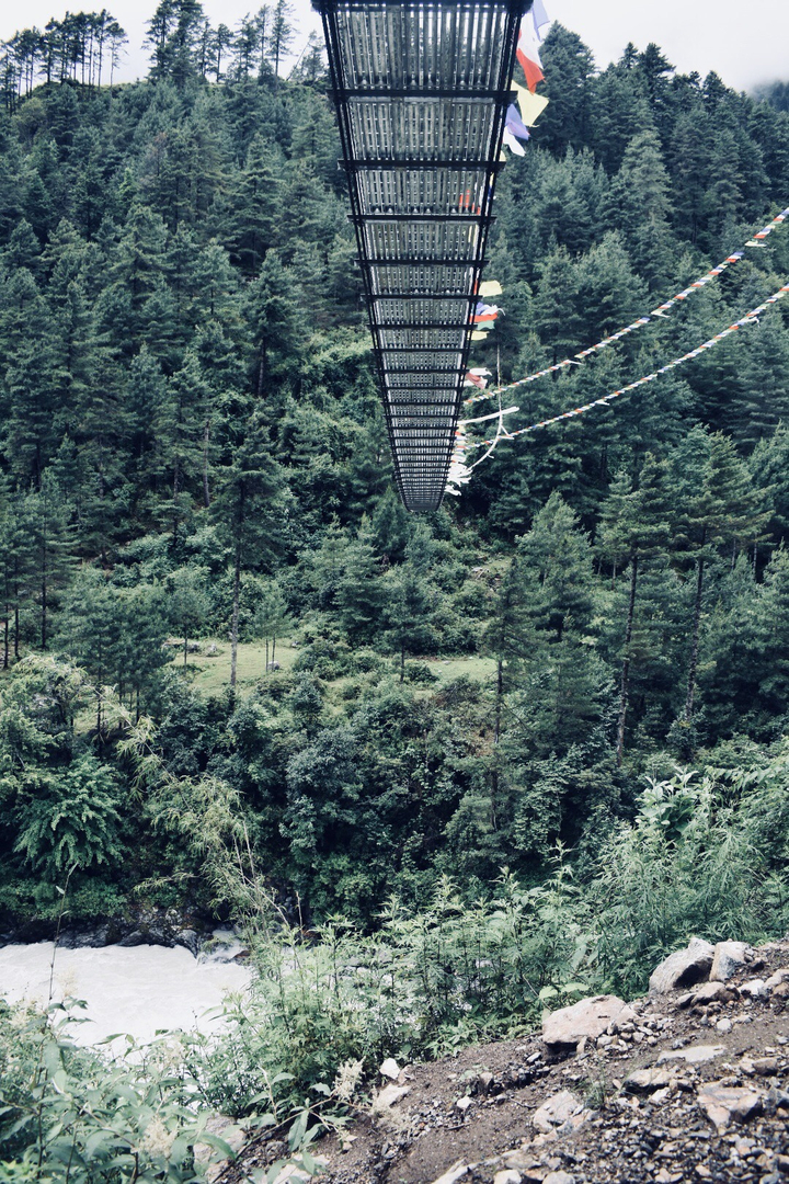 Pont suspendu s'étendant au-dessus d'une forêt verdoyante luxuriante.