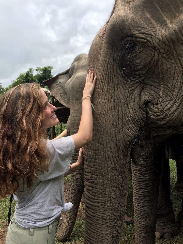 Femme interagissant avec un éléphant dans un cadre luxuriant.
