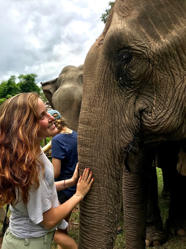 Femme interagissant avec un éléphant dans un cadre luxuriant.