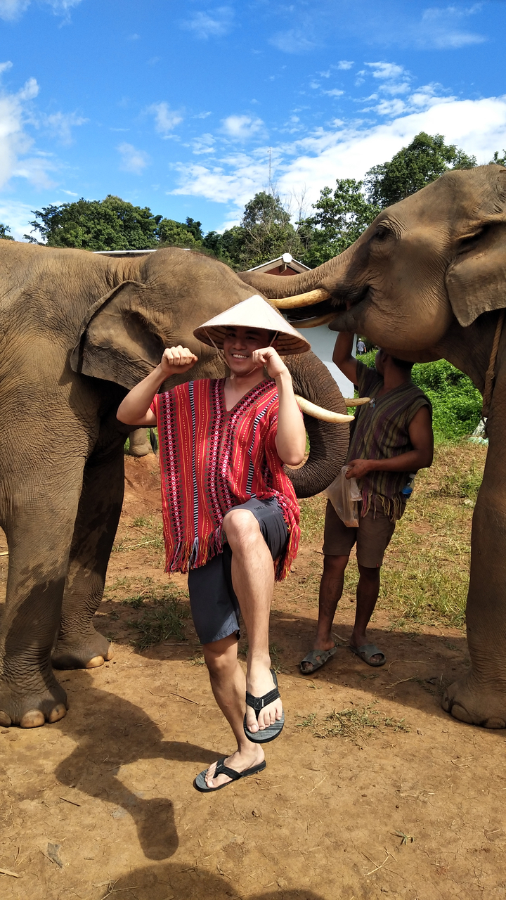 Person posing with elephants, wearing a traditional hat.