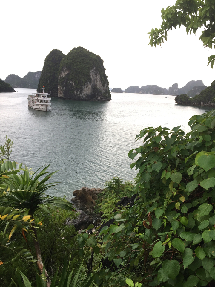 Navire de croisière naviguant dans une baie entourée d'îles.