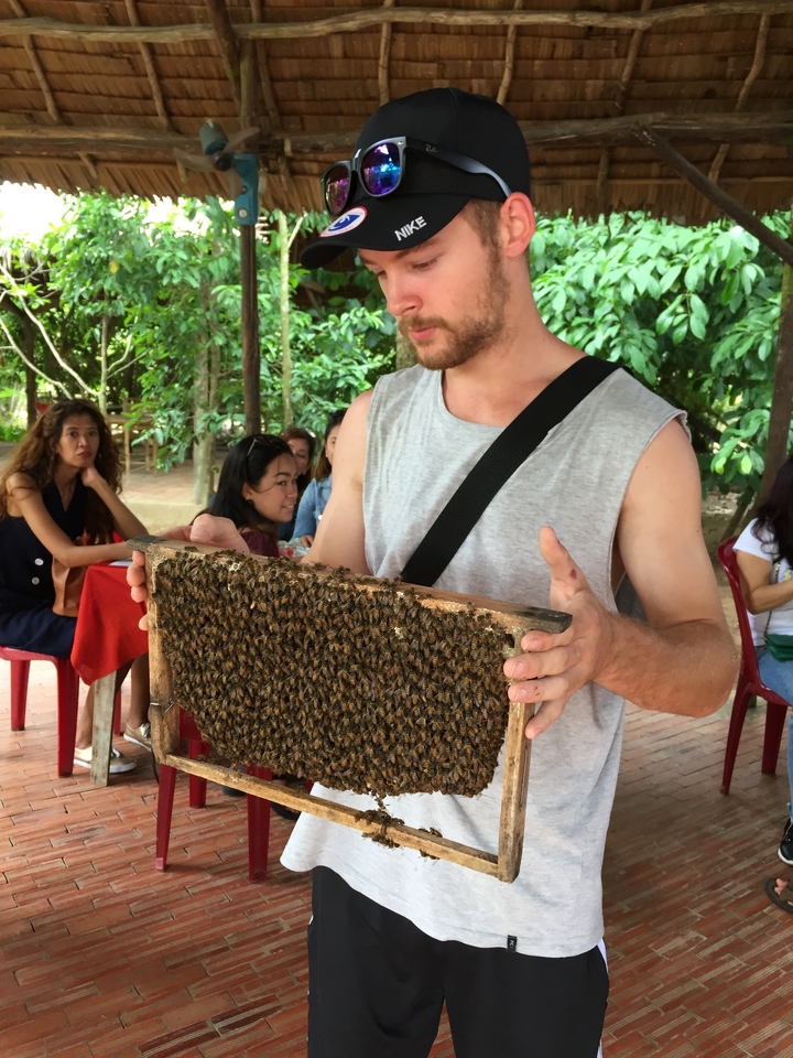 Personne tenant un panneau couvert d'abeilles.
