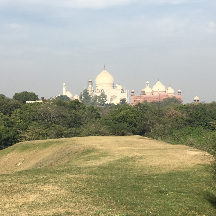 Vue de côté du Taj Mahal entouré de verdure.