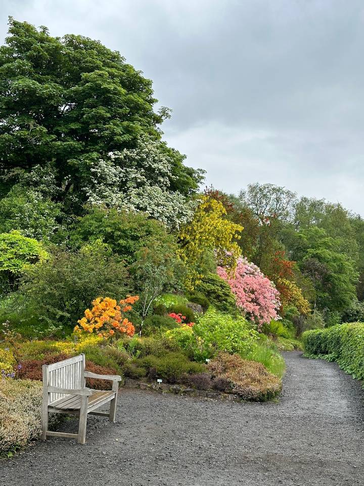 Colorful garden with a path.