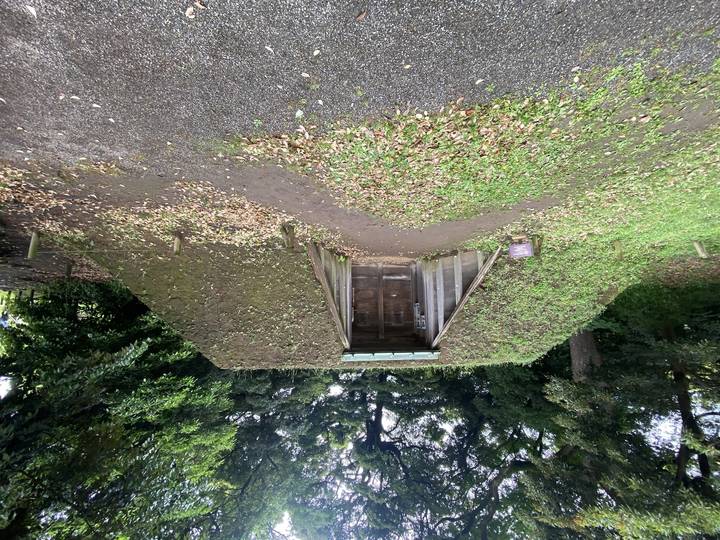 Entrée d'un abri souterrain dans une zone boisée
