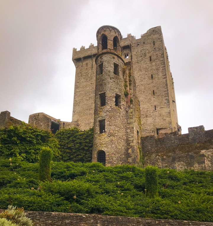 Ancien château de pierre recouvert de verdure.