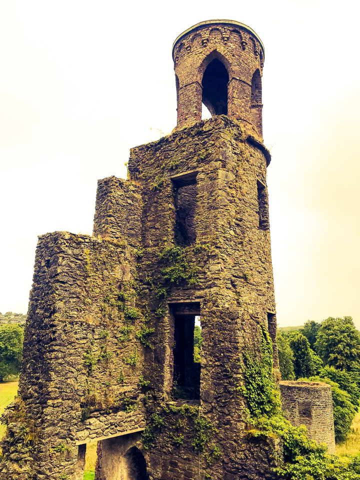 Ruine de tour en pierre entourée de végétation.