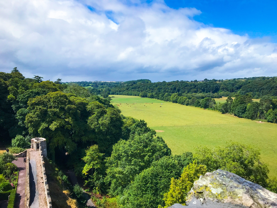 Vue étendue de champs verts et de forêts sous un ciel bleu.