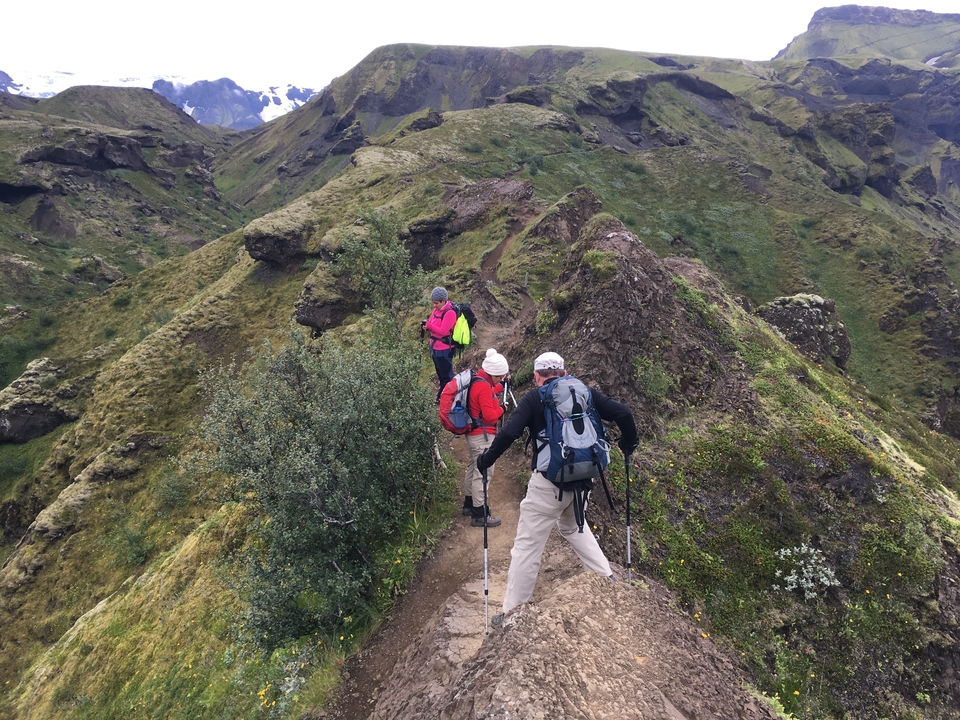 Des randonneurs marchant sur un sentier de montagne.