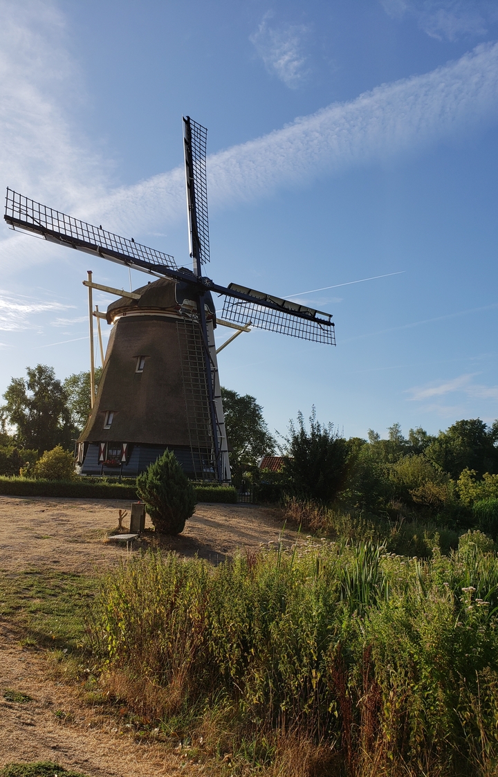 Moulin à vent sur fond de ciel bleu dans la campagne ouverte.