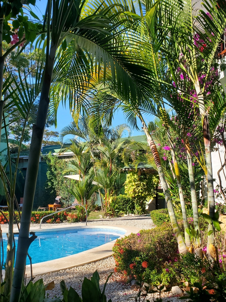 Jardin tropical luxuriant avec des plantes vibrantes et des palmiers.