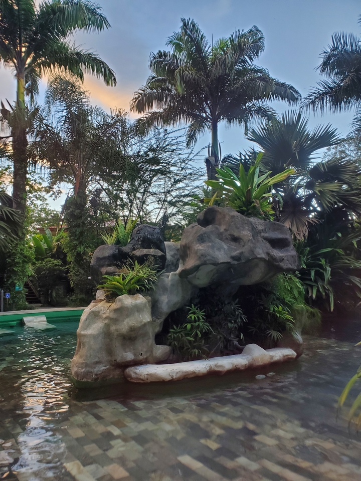 Espace piscine tropical avec rochers et végétation luxuriante.