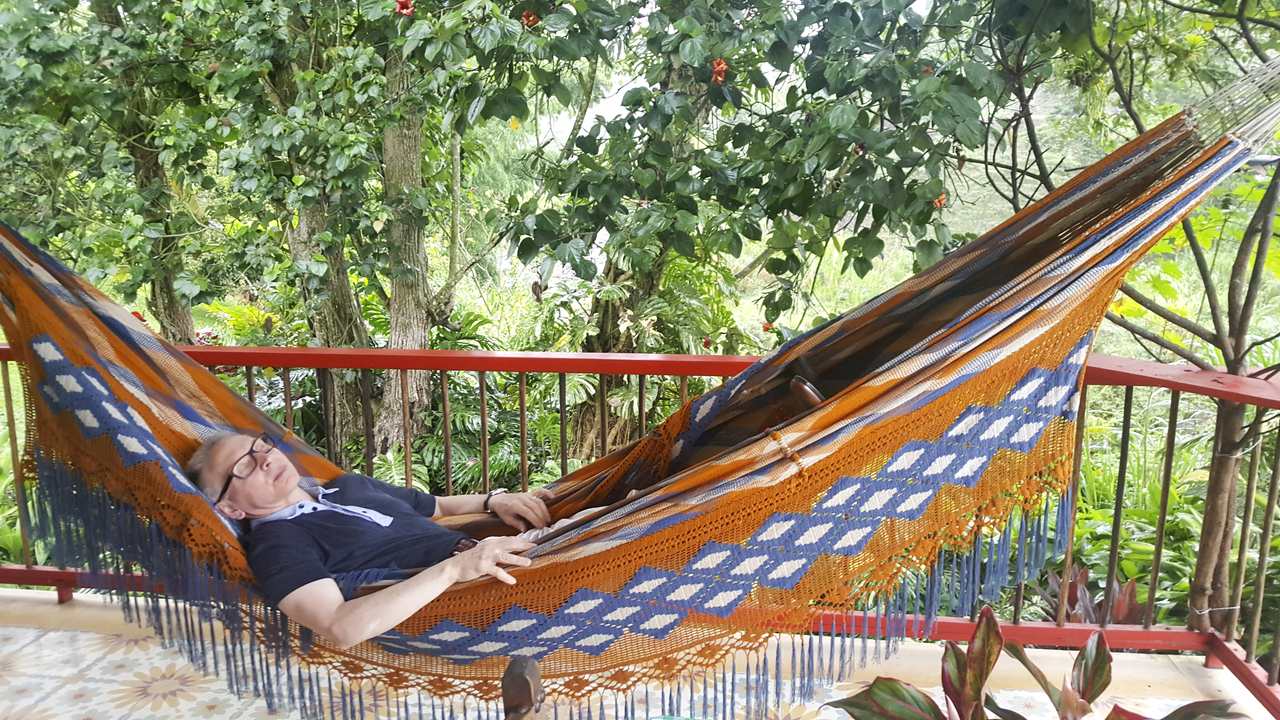 Un homme se détendant dans un hamac sur une véranda avec un environnement verdoyant.