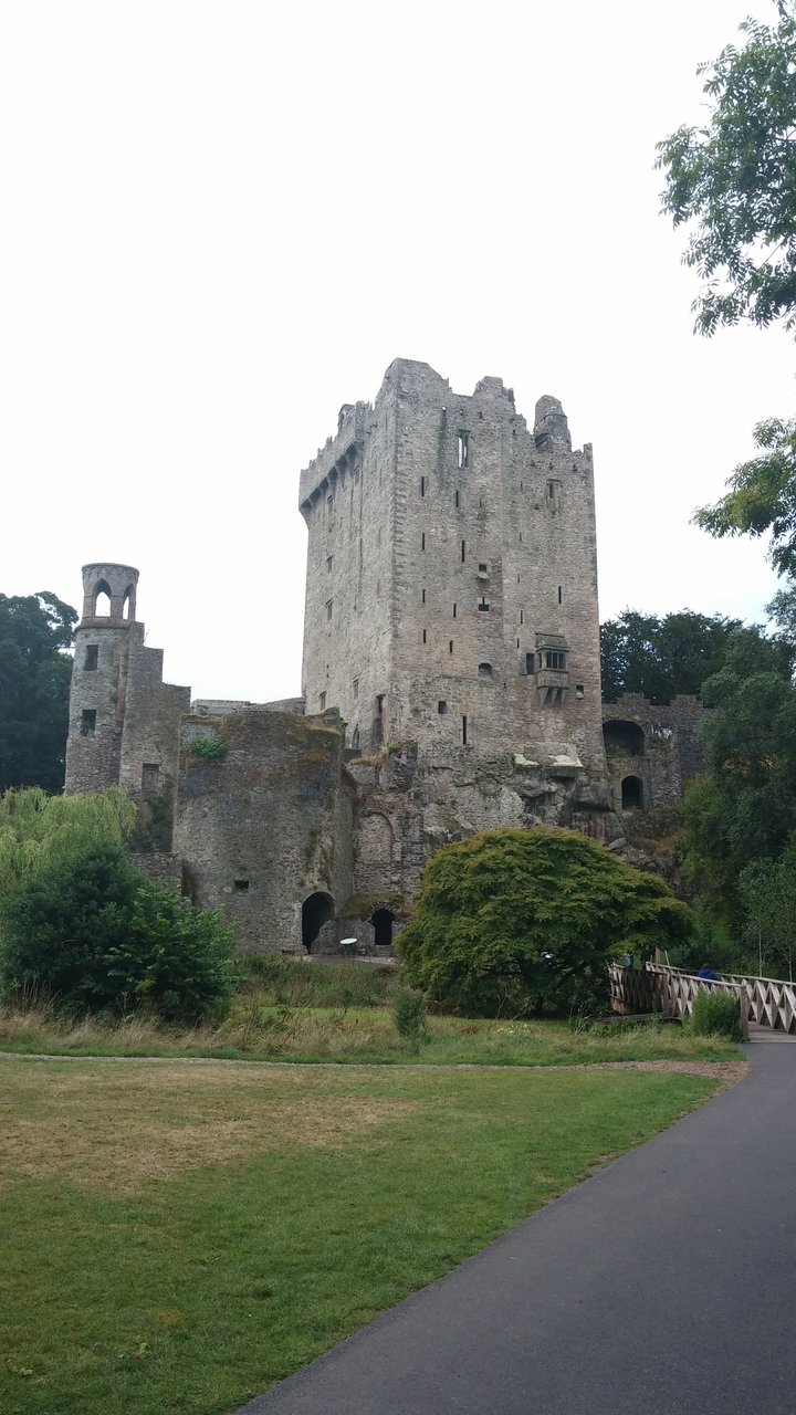 Une structure de château robuste avec des ruines et de la verdure qui l'entoure.
