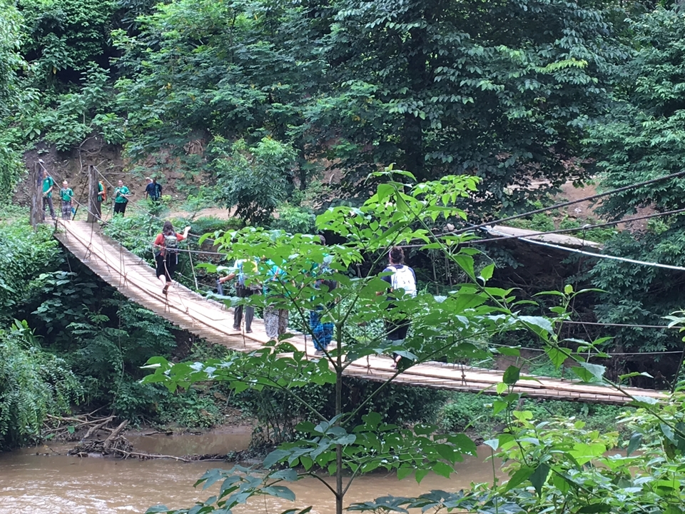 Des gens traversent un pont suspendu dans une forêt luxuriante.