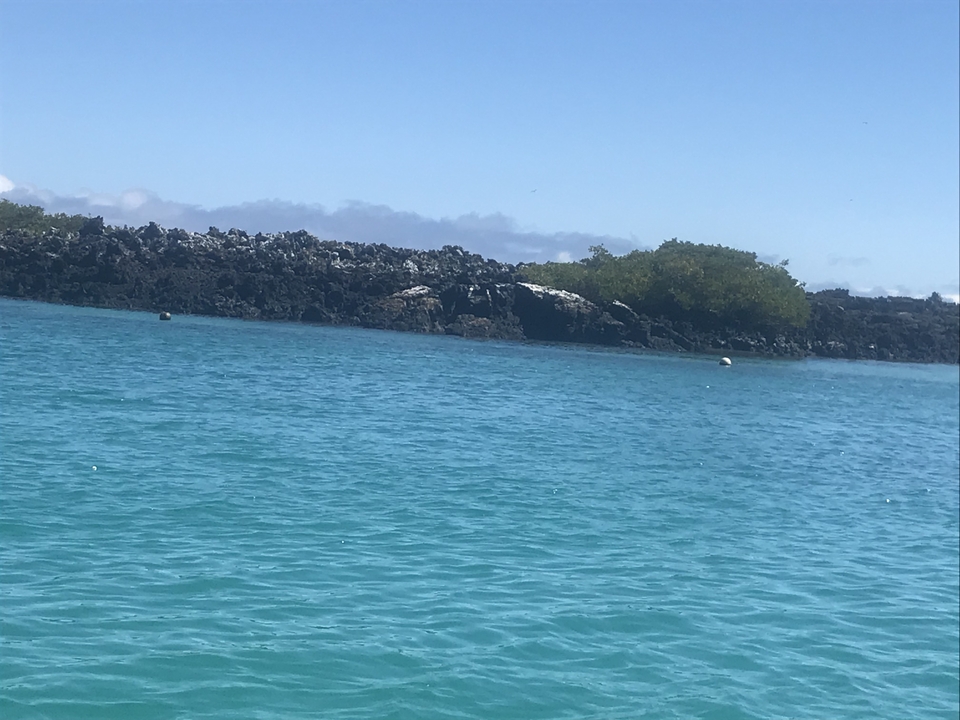 Océan turquoise avec rivage rocheux et verdure.