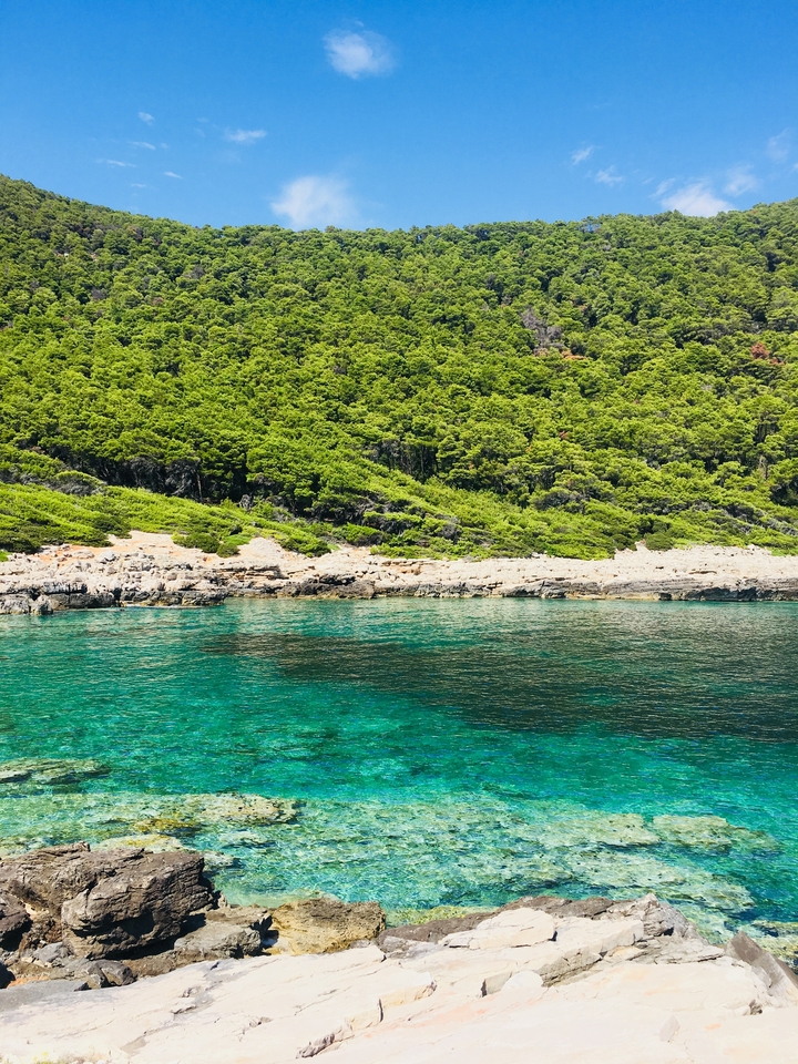 Eau côtière claire avec une végétation luxuriante.
