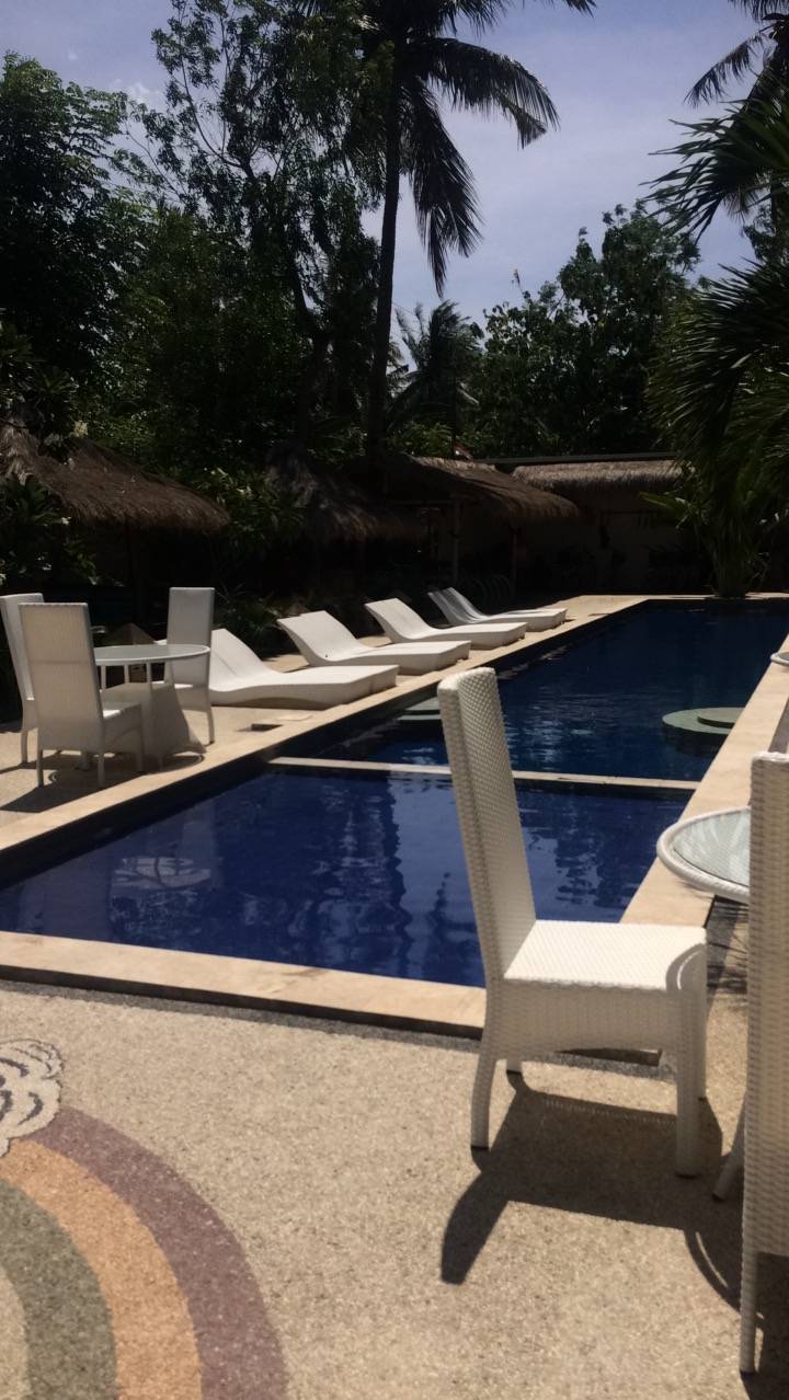 Poolside with chairs and palm trees.
