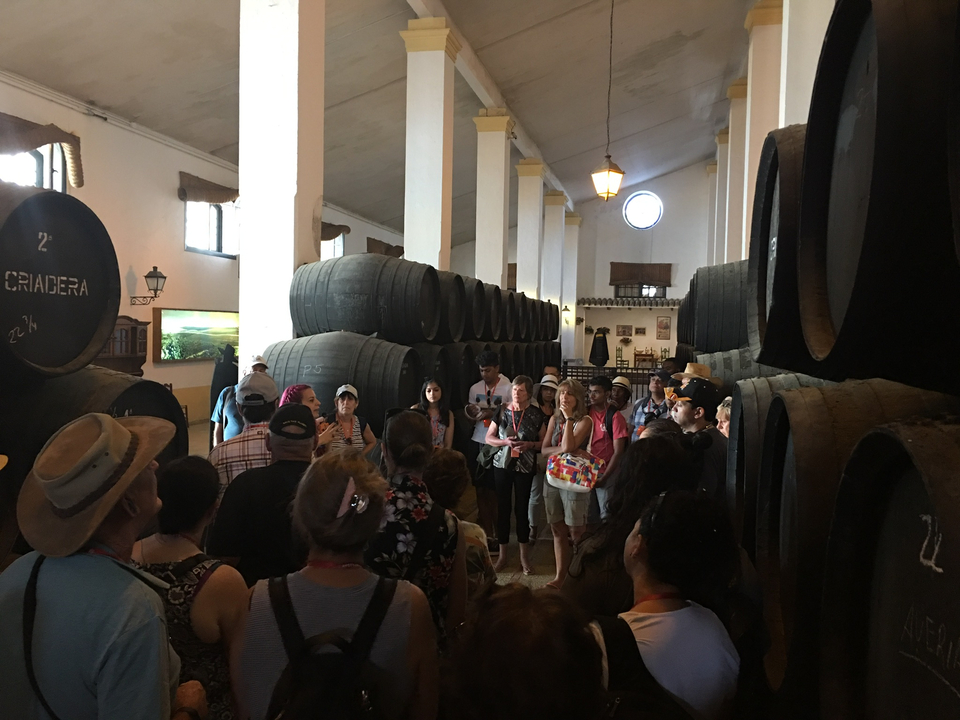 Groupe de personnes visitant une cave à vin remplie de tonneaux.