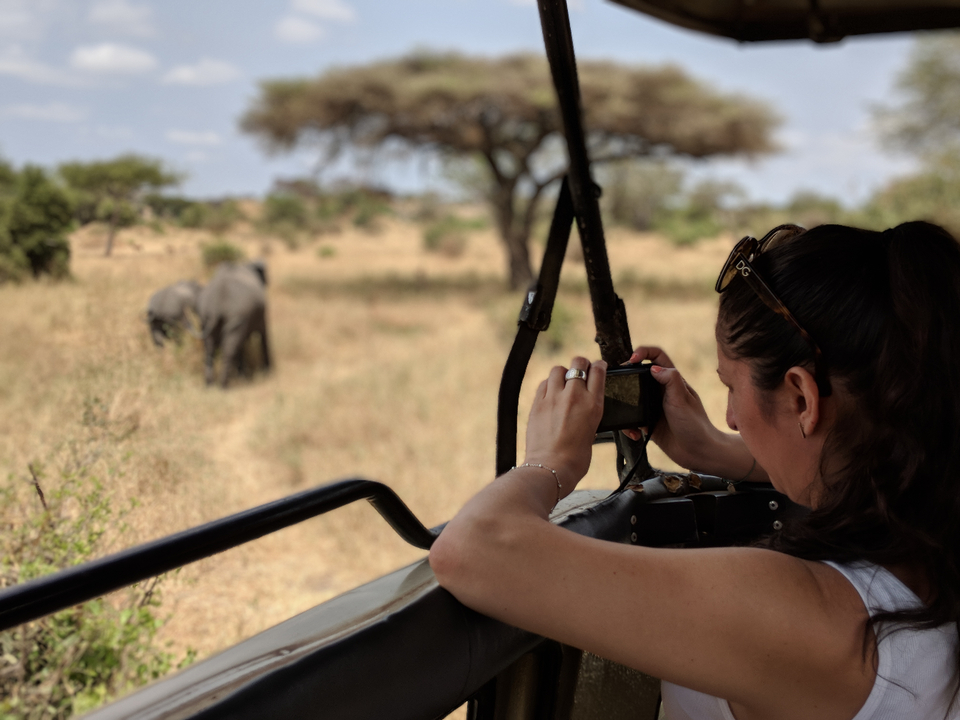 Une personne prenant une photo d'un éléphant en safari.