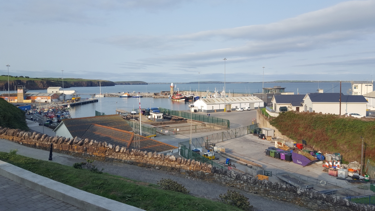 Chantier naval avec plusieurs bassins et bâtiments industriels au bord de la mer.