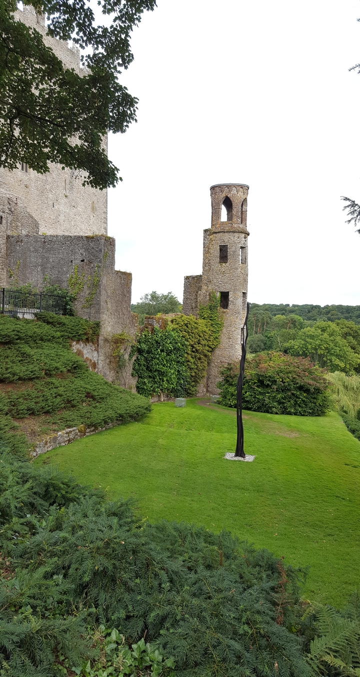 Château en ruines aux murs couverts de lierre dans un cadre verdoyant luxuriant.
