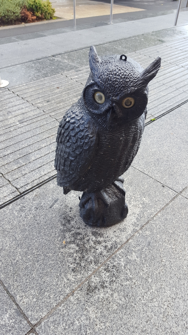Image en gros plan d'une petite statue de hibou noir sculpté sur un trottoir.