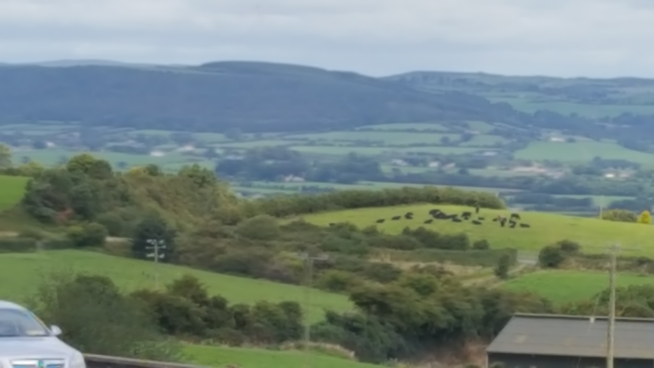 Image floue d'un paysage rural avec des champs et des collines au loin.