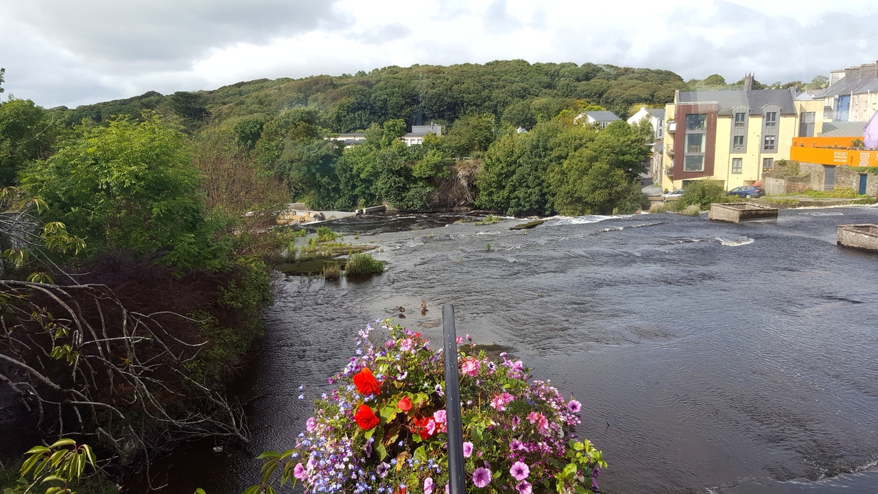 Vue d'une rivière bordée de fleurs avec des bâtiments et de la verdure au loin.
