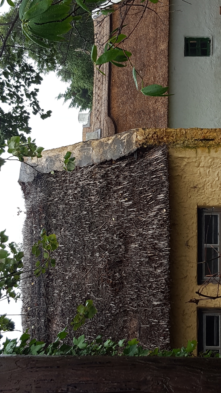 Gros plan du toit de chaume d'un bâtiment rustique.