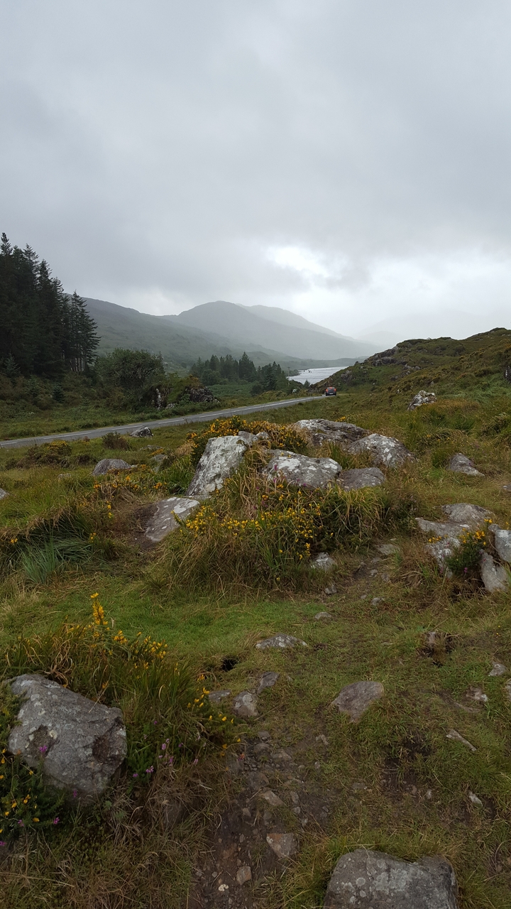 Vue depuis le bord de la route dans une zone rurale avec un arrière-plan de collines et de ciel.