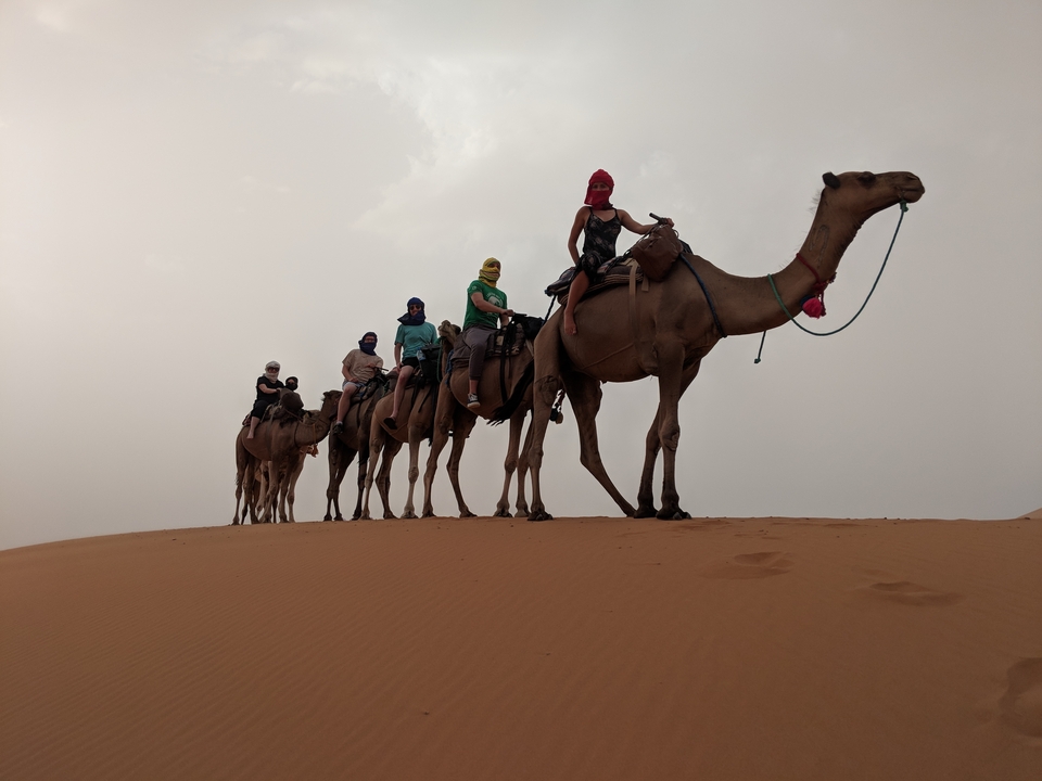 Caravane de chameaux avec des gens dans le désert.