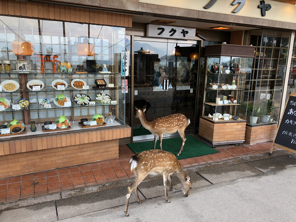 Cerf debout à l'entrée d'un magasin.