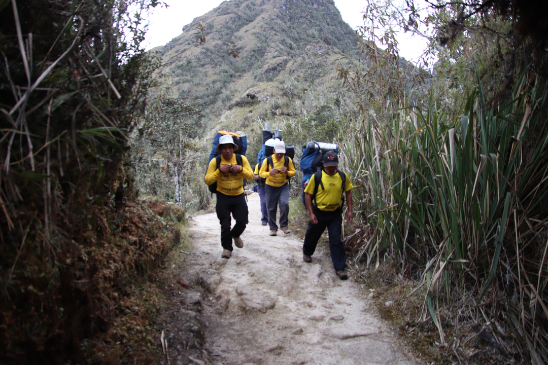 Randonneurs marchant le long d'un sentier dans une région montagneuse.