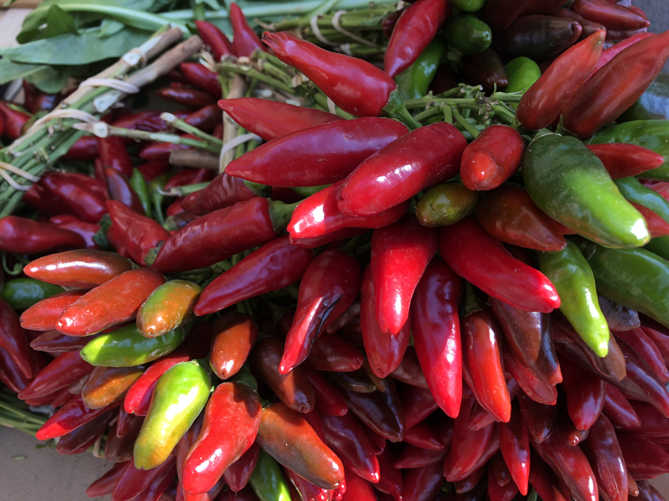Un bouquet de poivrons colorés.