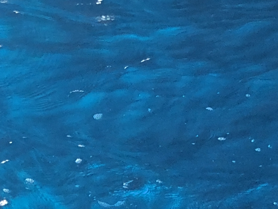 Image floue d'eau avec des ondulations visibles.