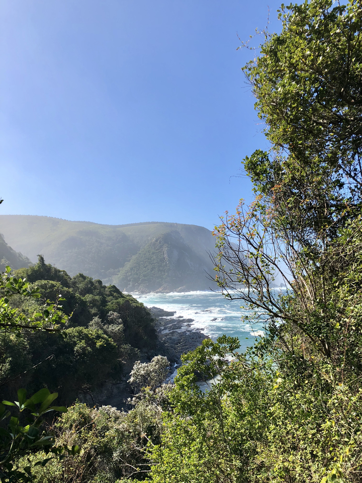 Vue côtière pittoresque avec une végétation luxuriante et les vagues de l'océan qui se brisent sur les rochers.