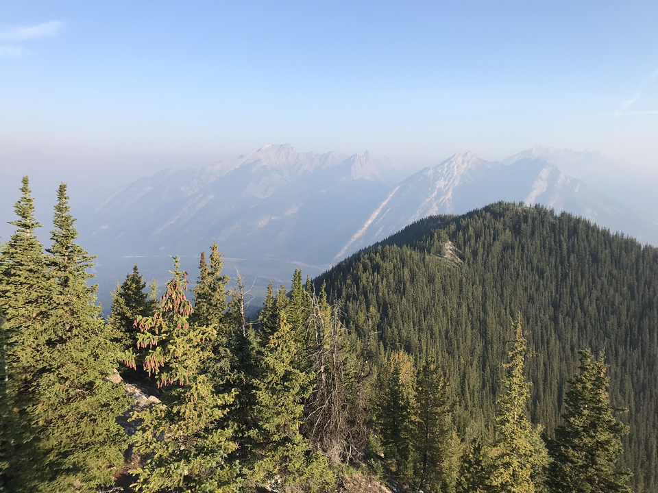Paysage montagneux avec des pins et un ciel bleu.