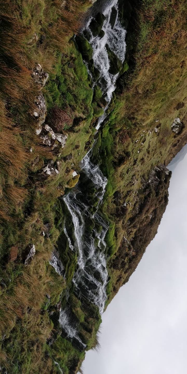 Water flowing over rocks with lush greenery.
