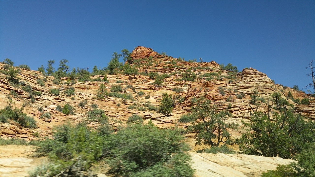 Formations rocheuses rouges avec de la verdure au parc national de Zion.