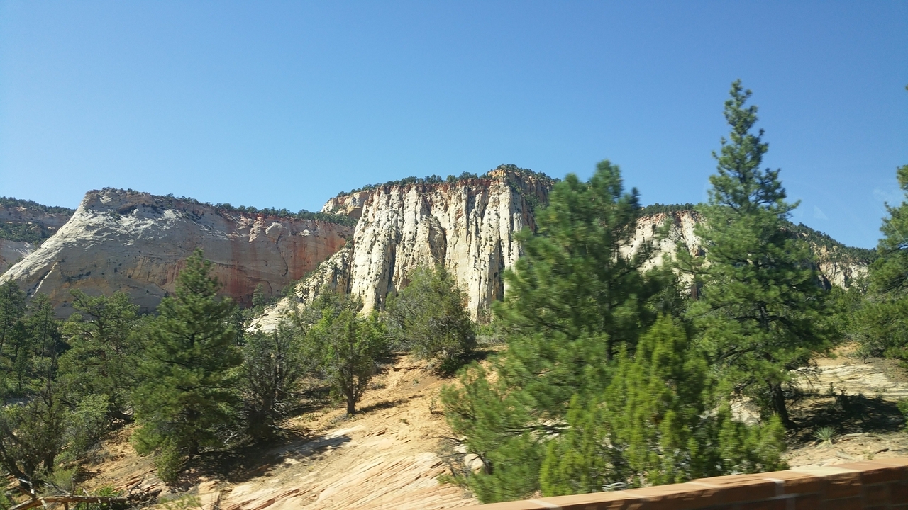 Formations rocheuses avec des arbres au parc national de Zion.