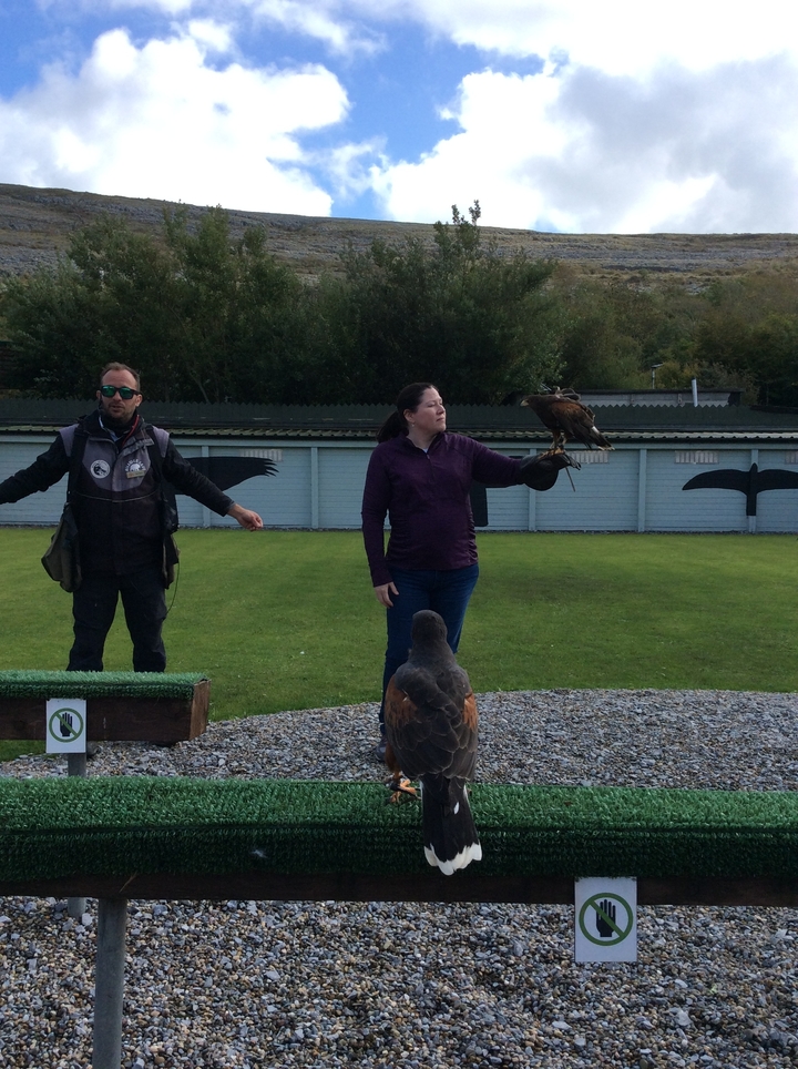 People participating in a falconry activity.