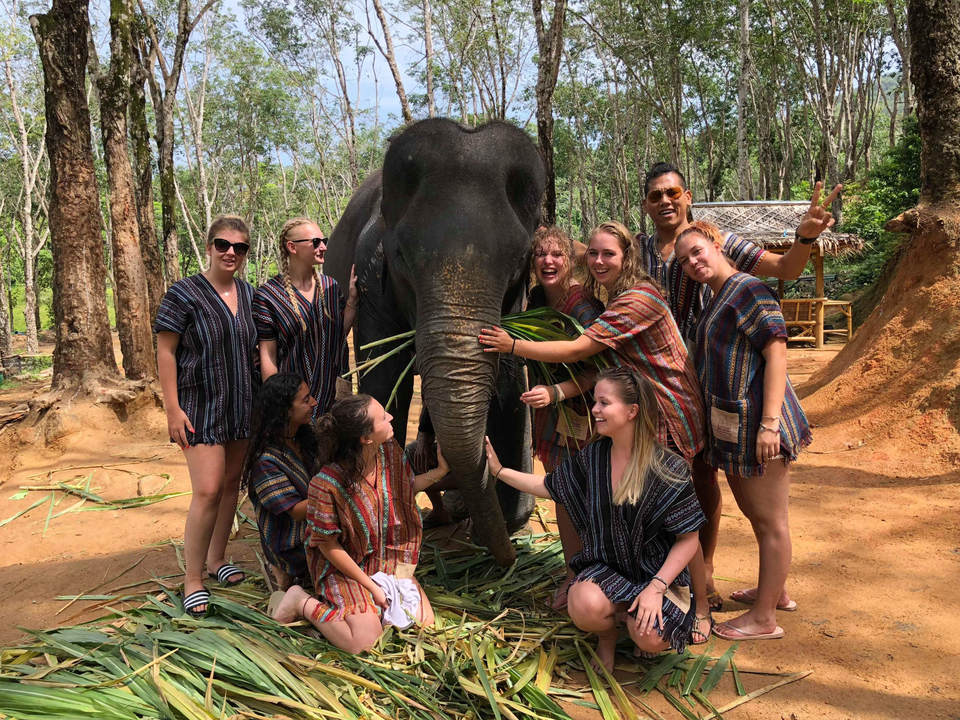 A group of people posing with an elephant, all wearing matching colorful outfits.