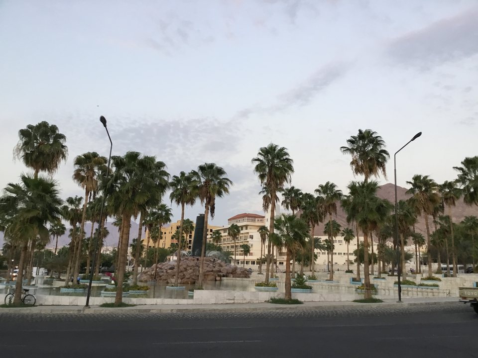 Parc avec des palmiers et des bâtiments de la ville en arrière-plan.